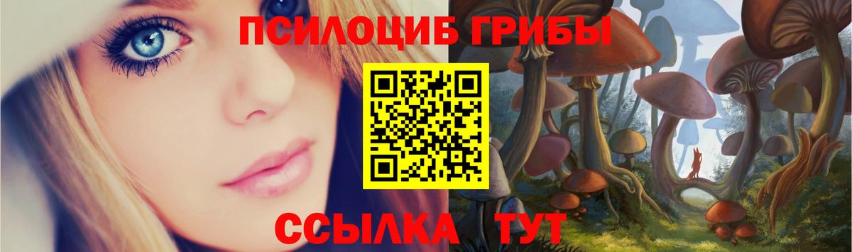 Камень-на-Оби  Псилоцибиновые грибы MAGIC MUSHROOMS  Вход с VPN 